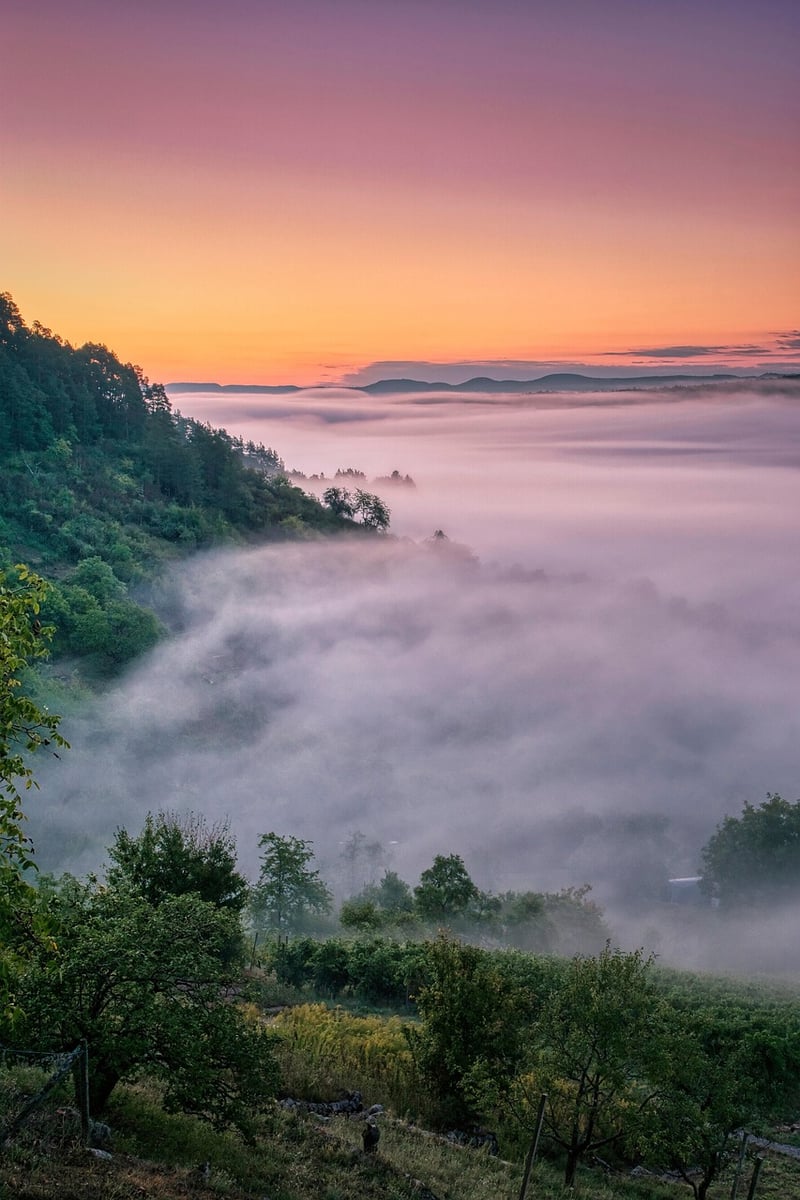 Fairytale Beginnings